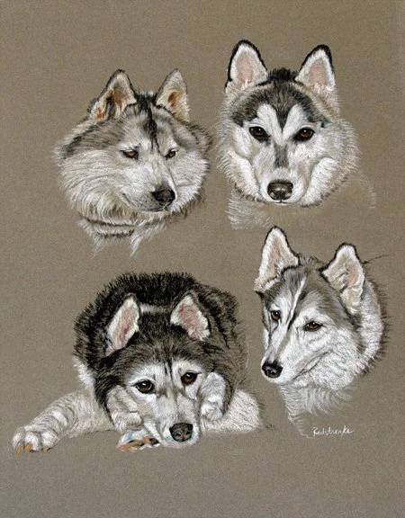 4huskies_lg.jpg