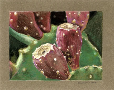 cactus-fruit_lg.jpg