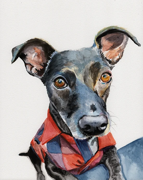 redjacketpup_redstreake.jpg