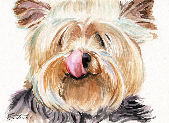 yorkie.png