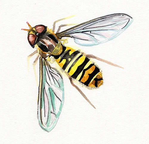 The Bees Knees