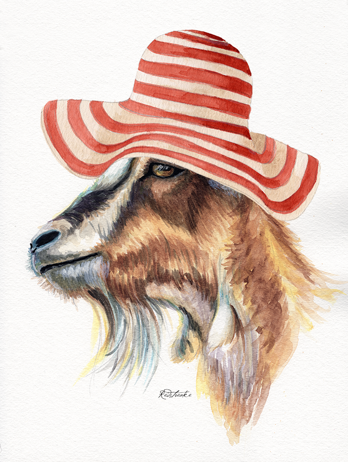 Goat with Sun Hat