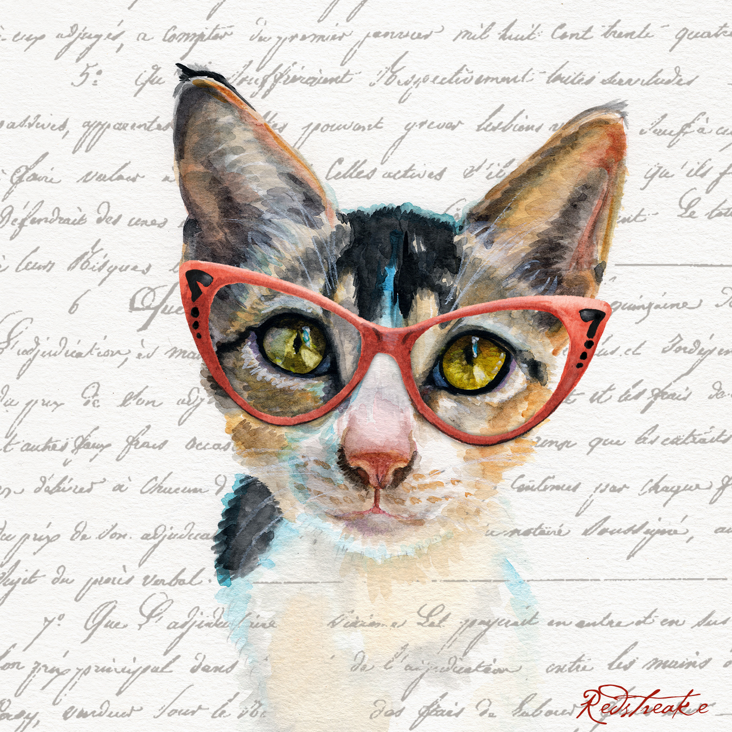 Red Cat Glasses