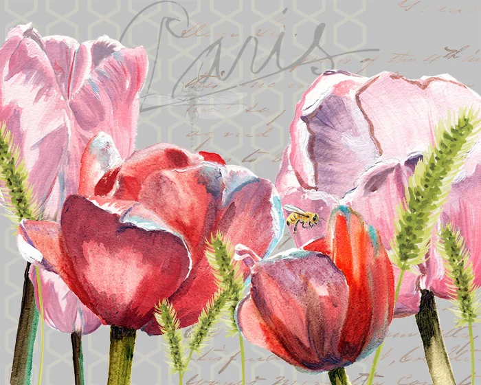 redstreake_tulips1.jpg