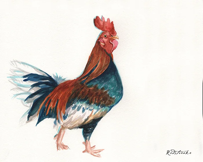 redstreake_rooster.jpg