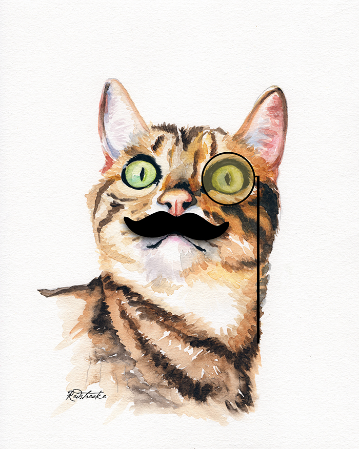 cat_moustache_highres.jpg