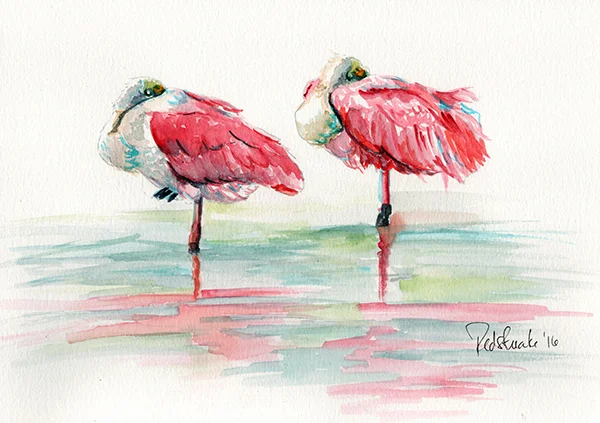 redstreake_flamingos_wc.jpg