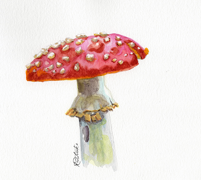 redspeckledmushroom2.jpg