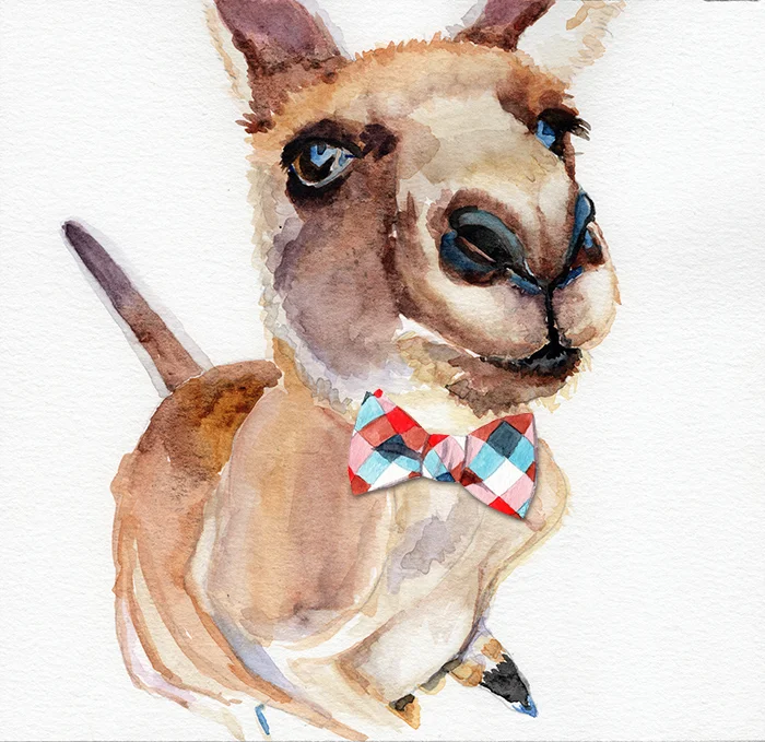 kangaroo_tie.jpg
