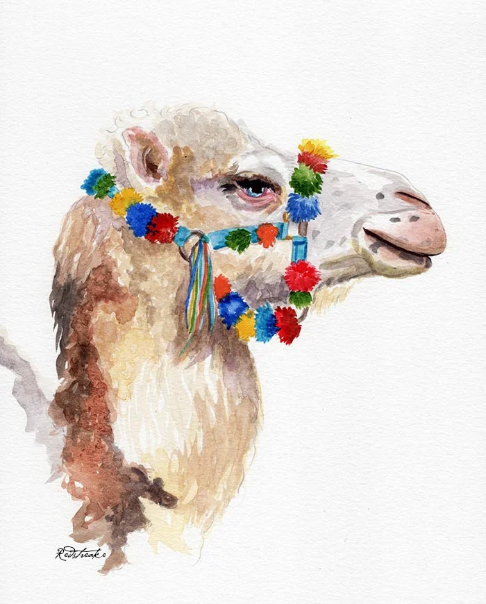 Pretty Camel