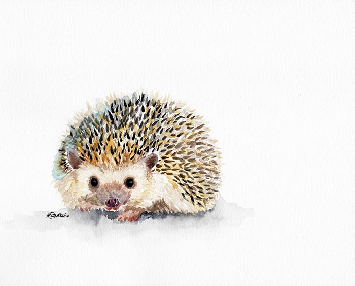 Hedgehog!