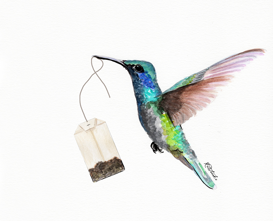 hummingbird_tea.jpg