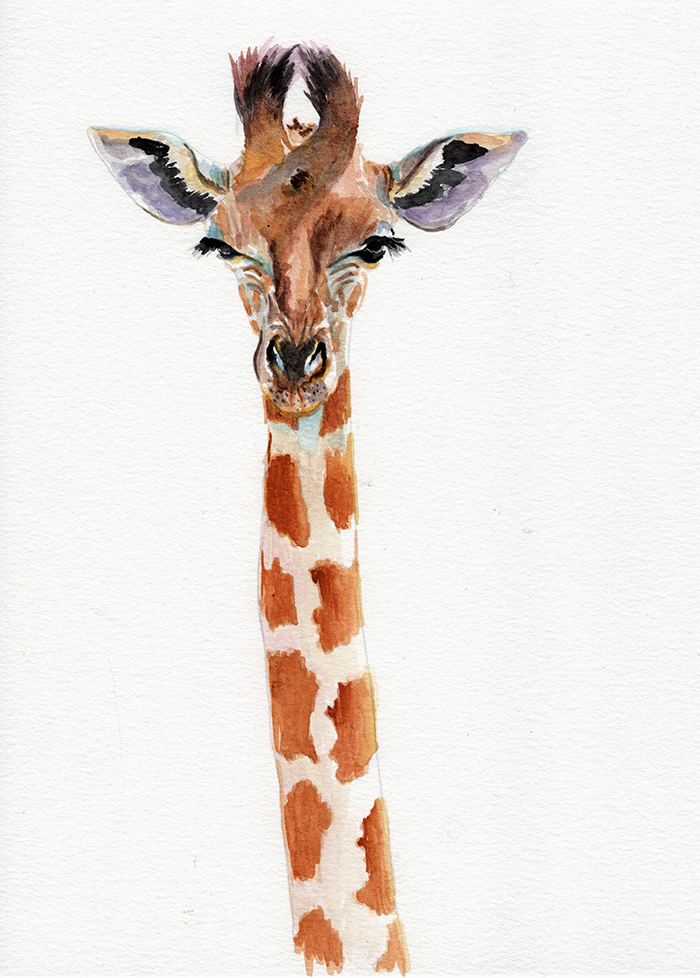 giraffe_longneck_lowres.png