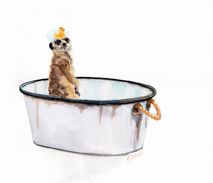 meerkatbath.jpg