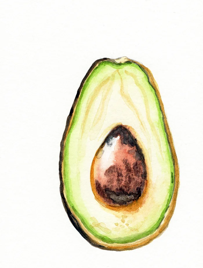 avocado_half2_redstreake.jpg