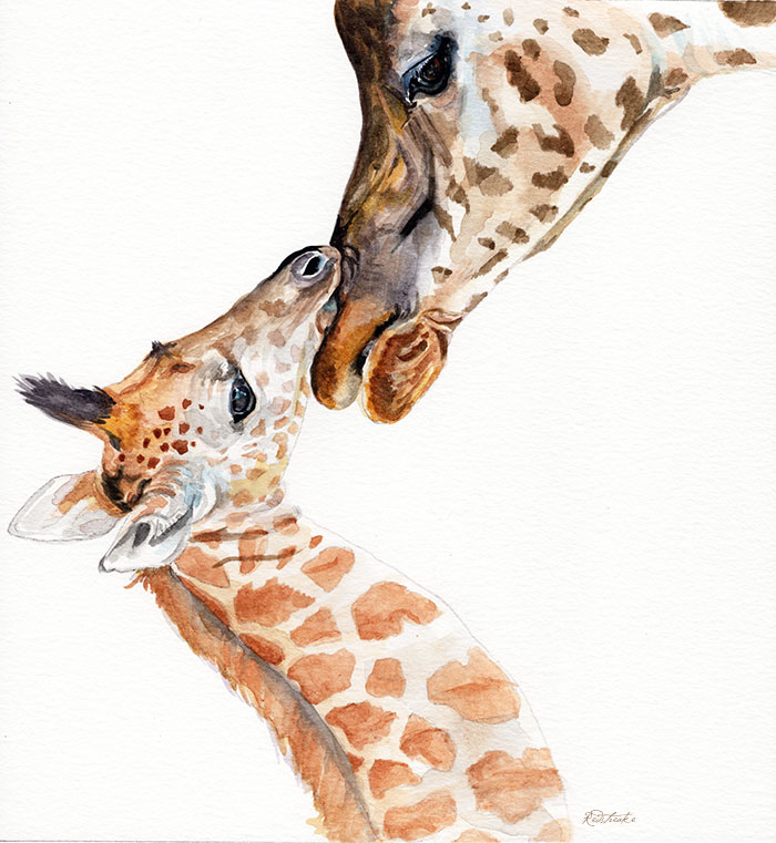 giraffefamily_redstreake.jpg