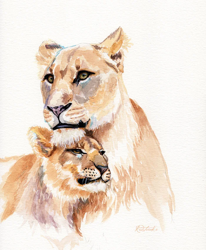 lionfamily_redstreake.jpg