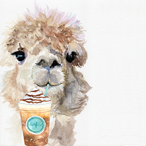 funny_animals.png