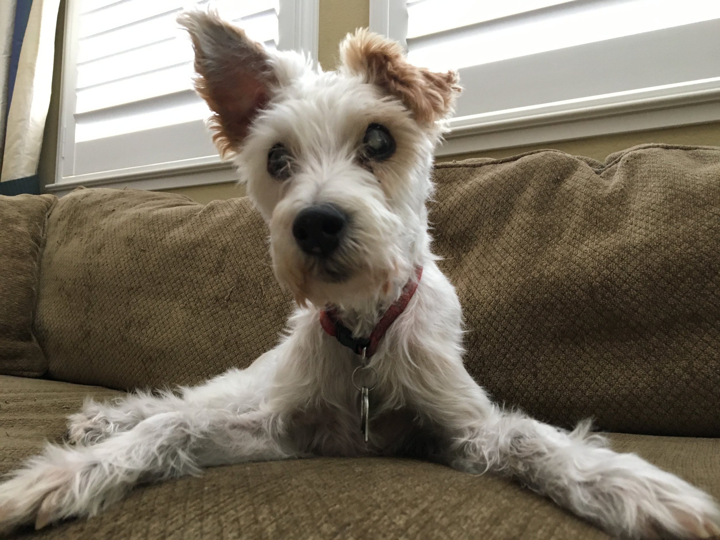 (I love this) First the source image...