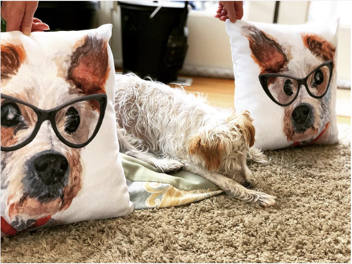 And here is the pillows WITH the lovely model! (she is not enthused.)