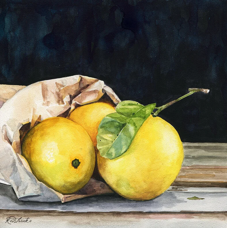 lemonsinbag_final.jpg