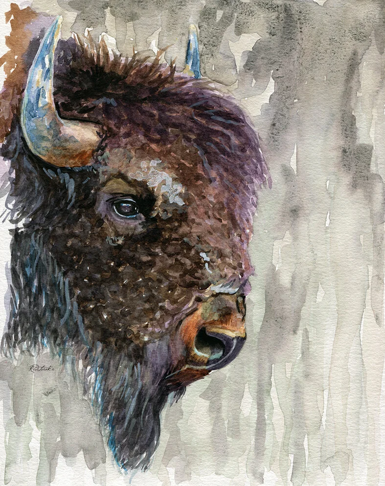 bisonportrait_bkgnd.jpg