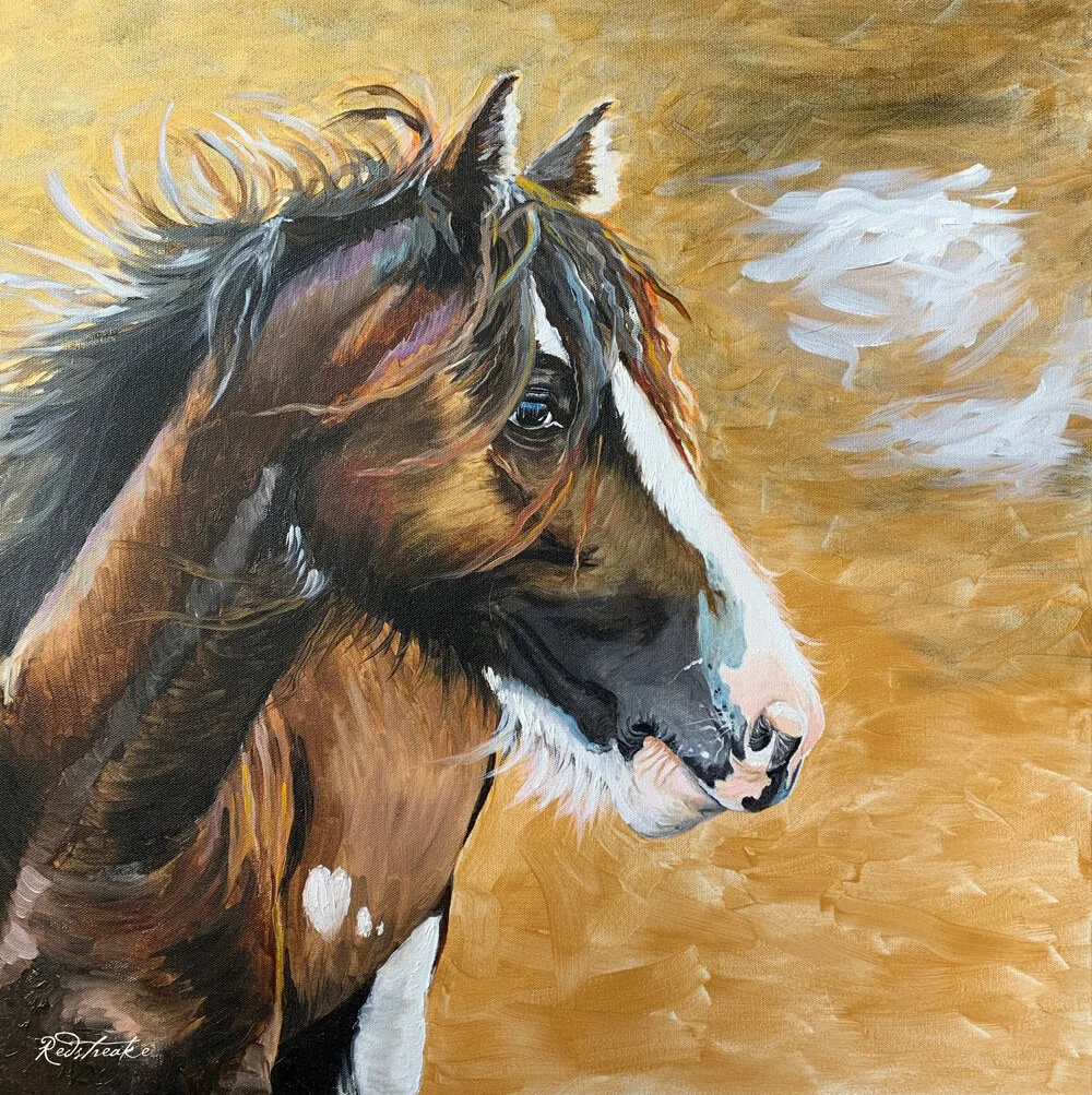 Wild Pony I