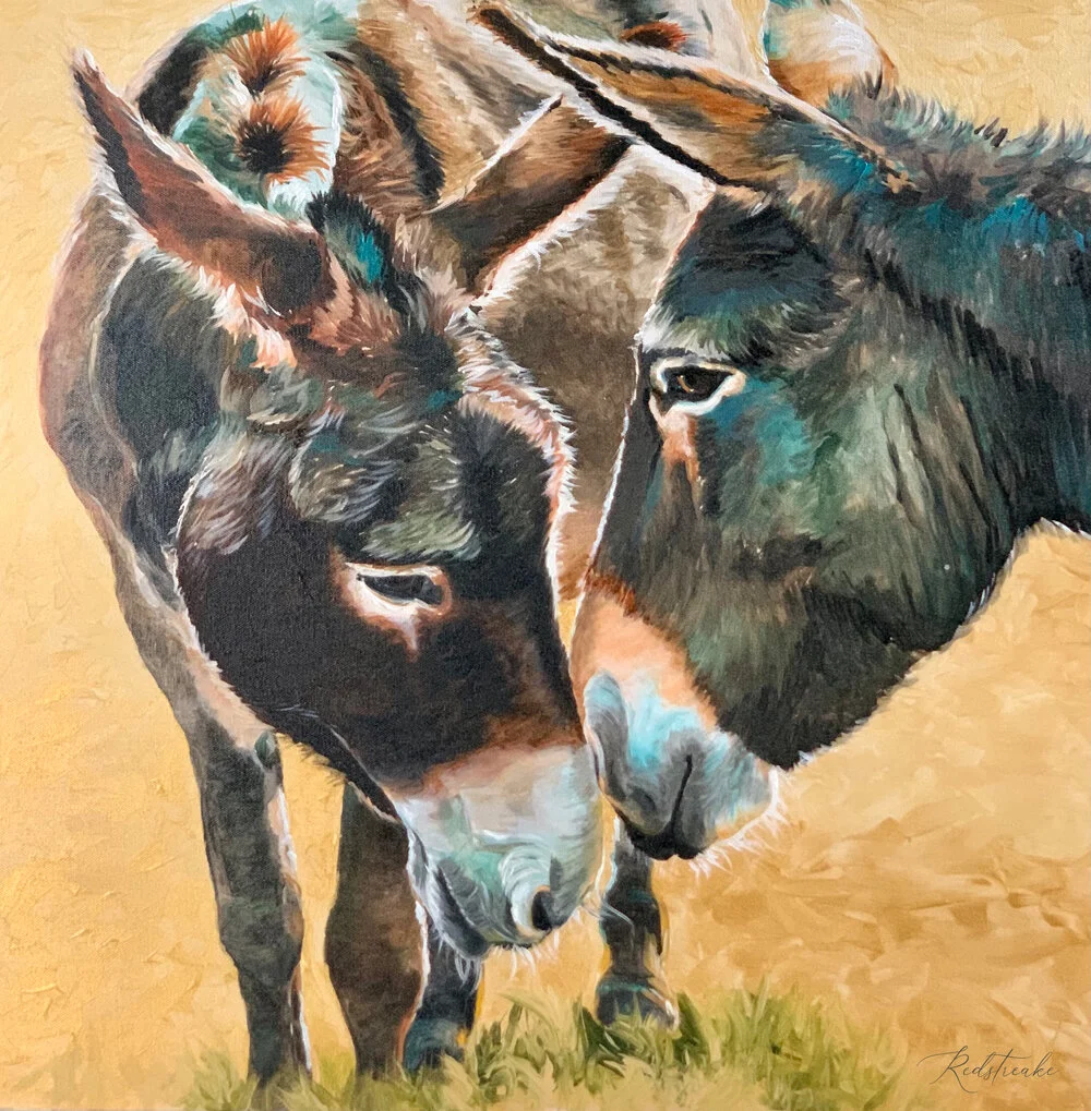 Donkey BFF's