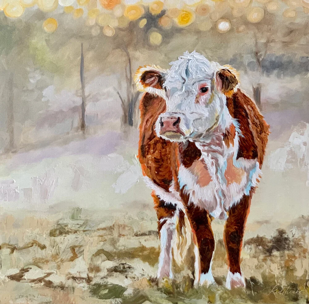Early Morning Pasture