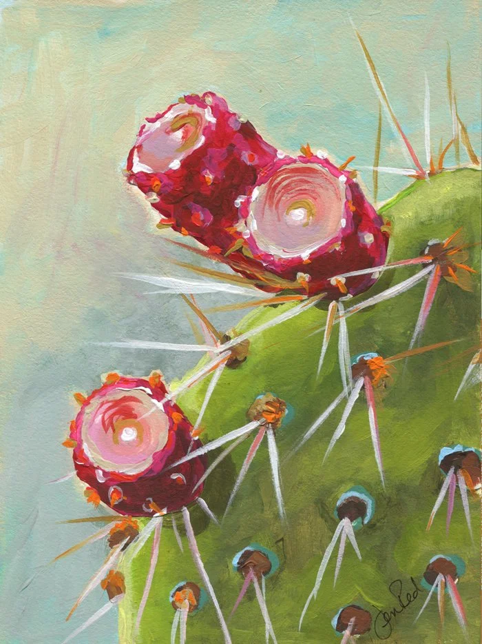cactusfruit1_2022_redstreake.jpg
