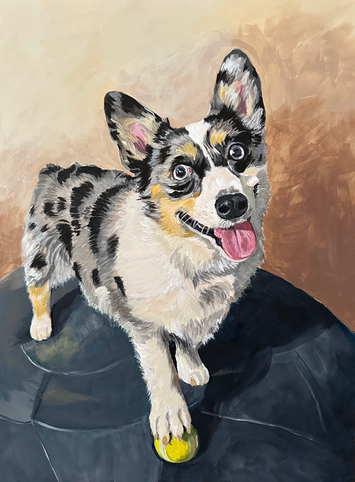 Nova-corgie_commission_th.png