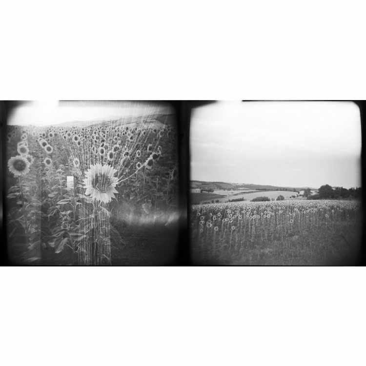 Holga_B&W_002_5.jpg