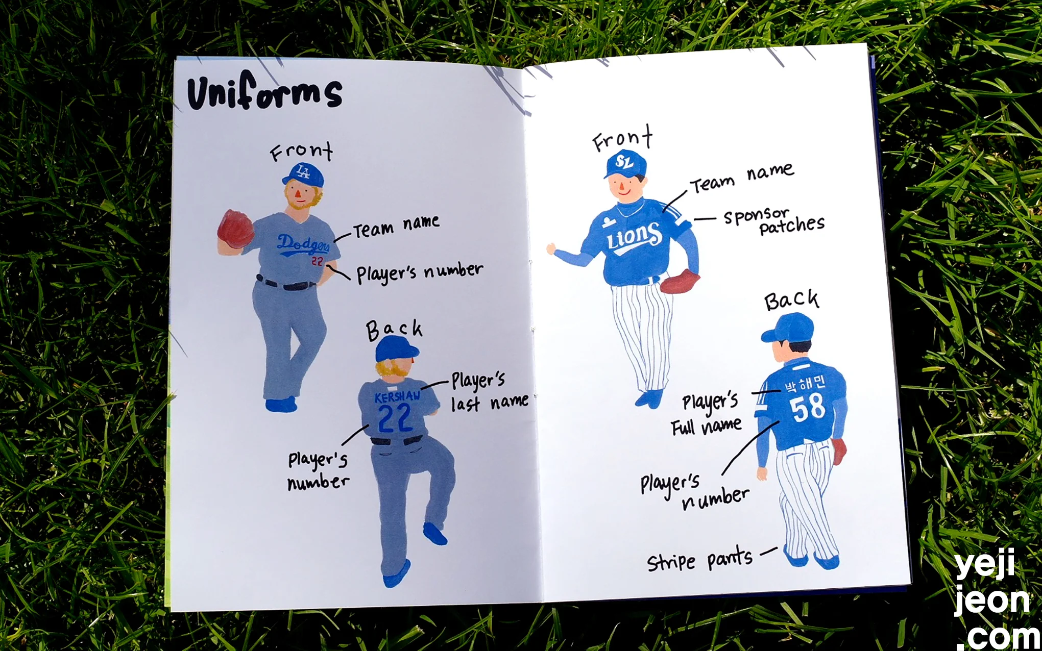 Baseball Vine.jpg