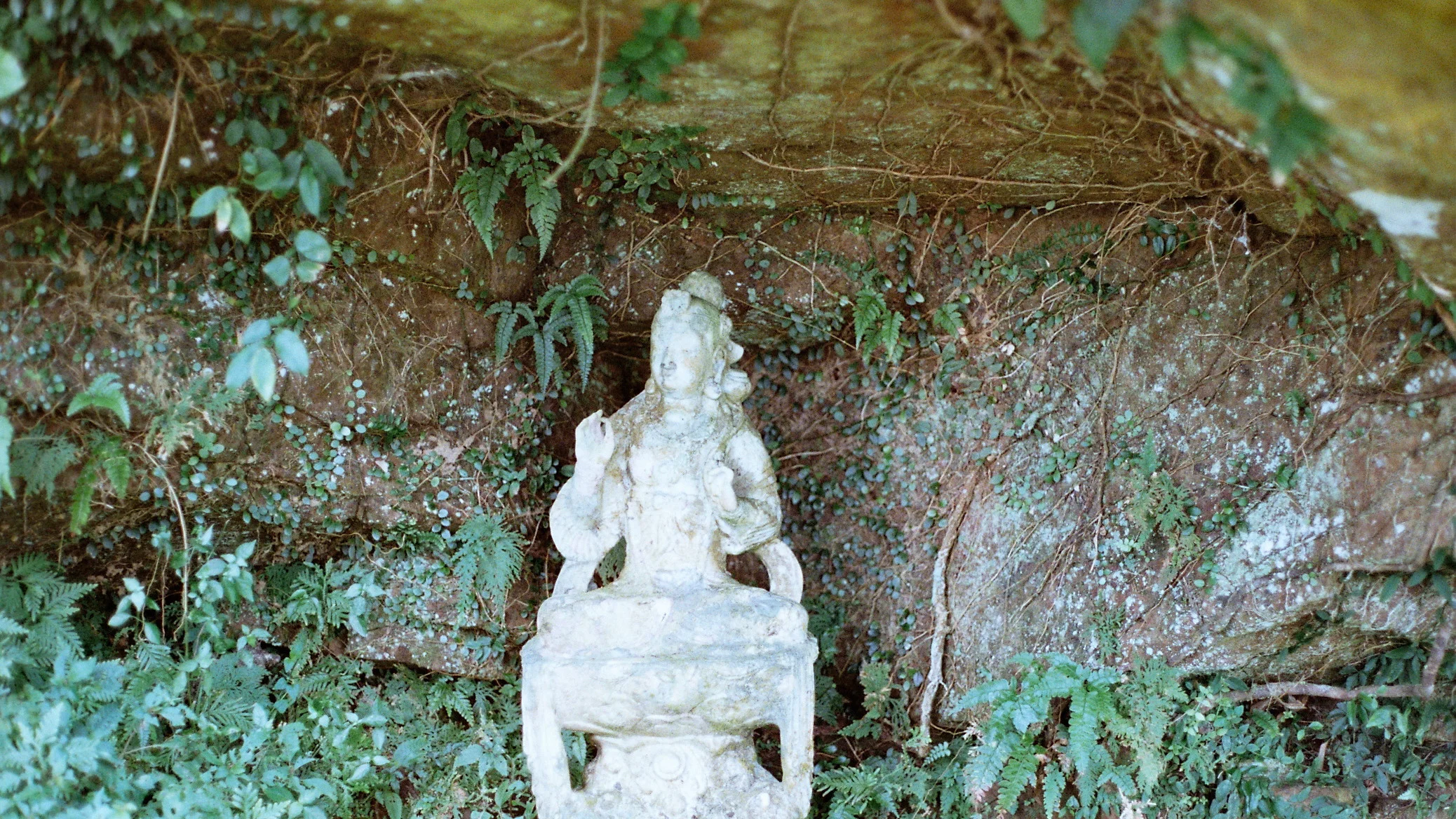 Negative0-03-20(1).jpg
