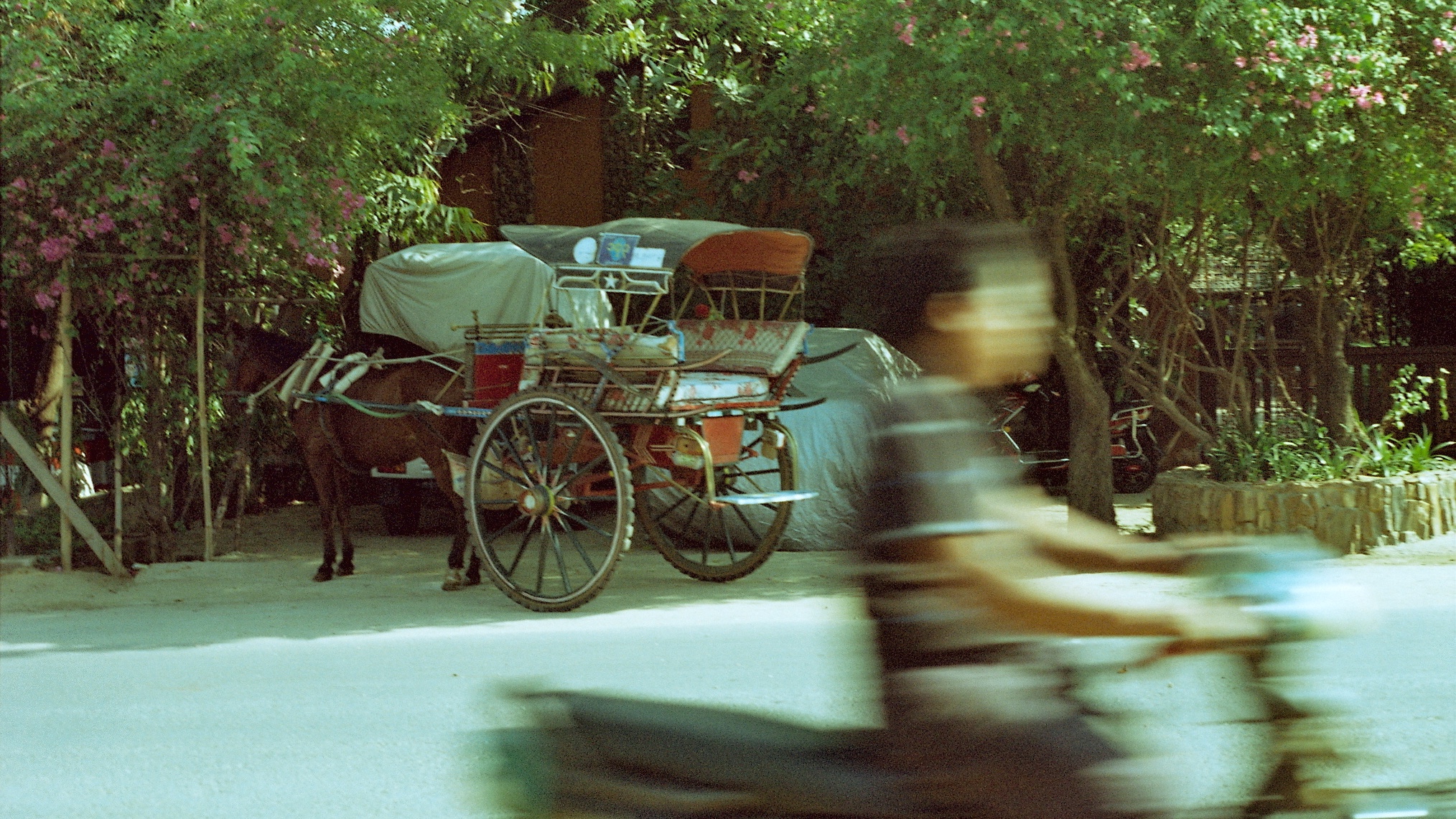 Negative0-02-02(1).jpg