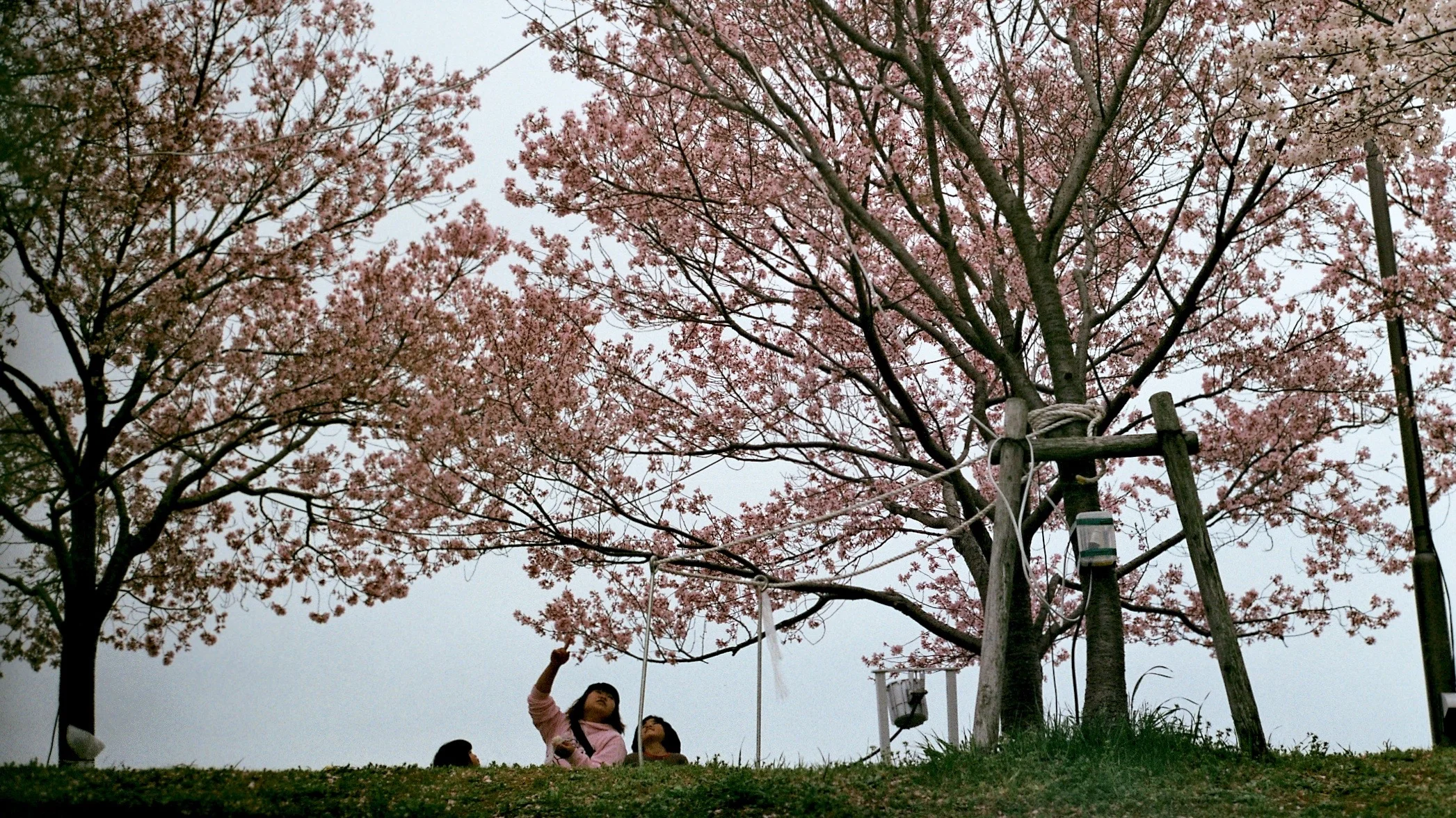 Negative0-16-22(1).jpg