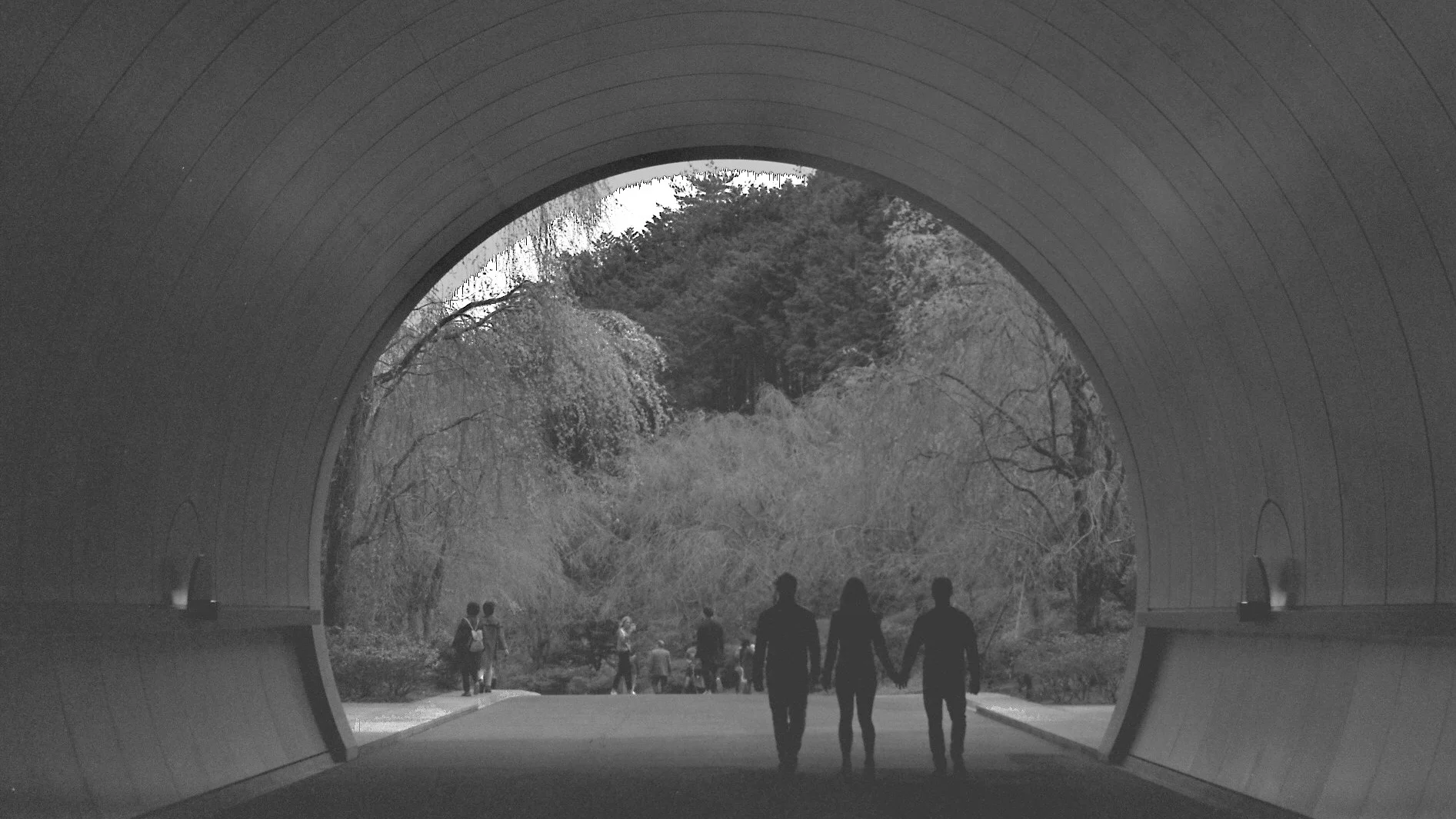 Negative0-03-03(1).jpg