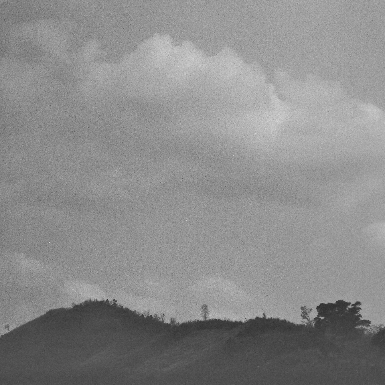 Negative0-27-27%281%29.jpg