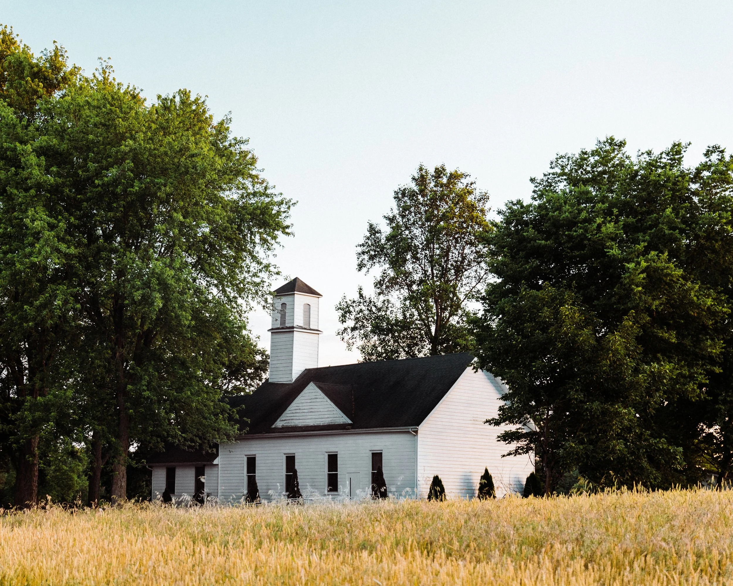 Photo by Colin Maynard on Unsplash