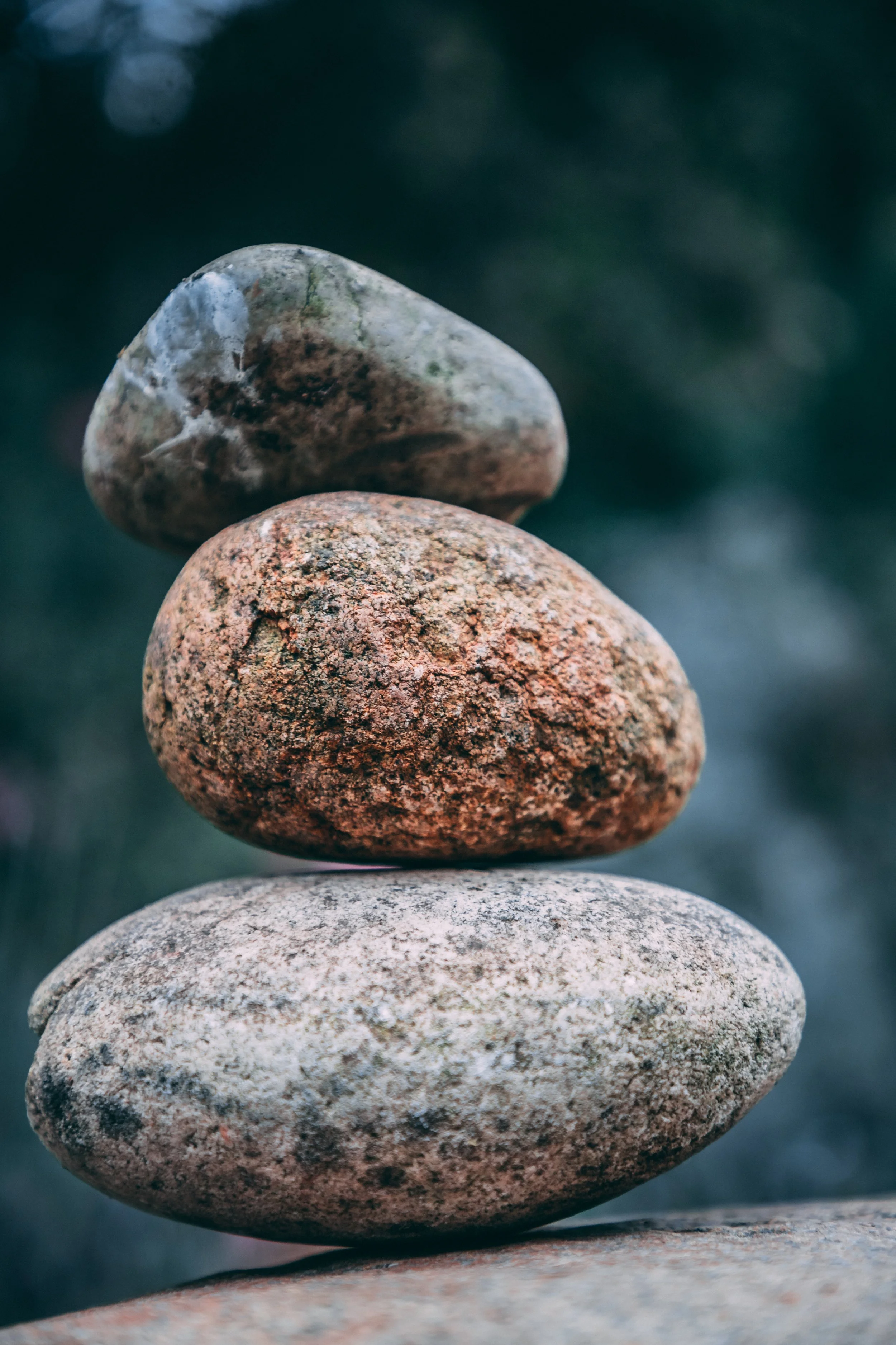 Photo by Matthew Cabret on Unsplash