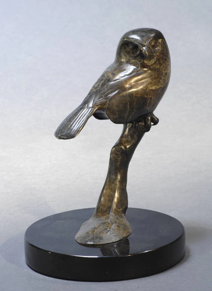 Diminutive Owl II