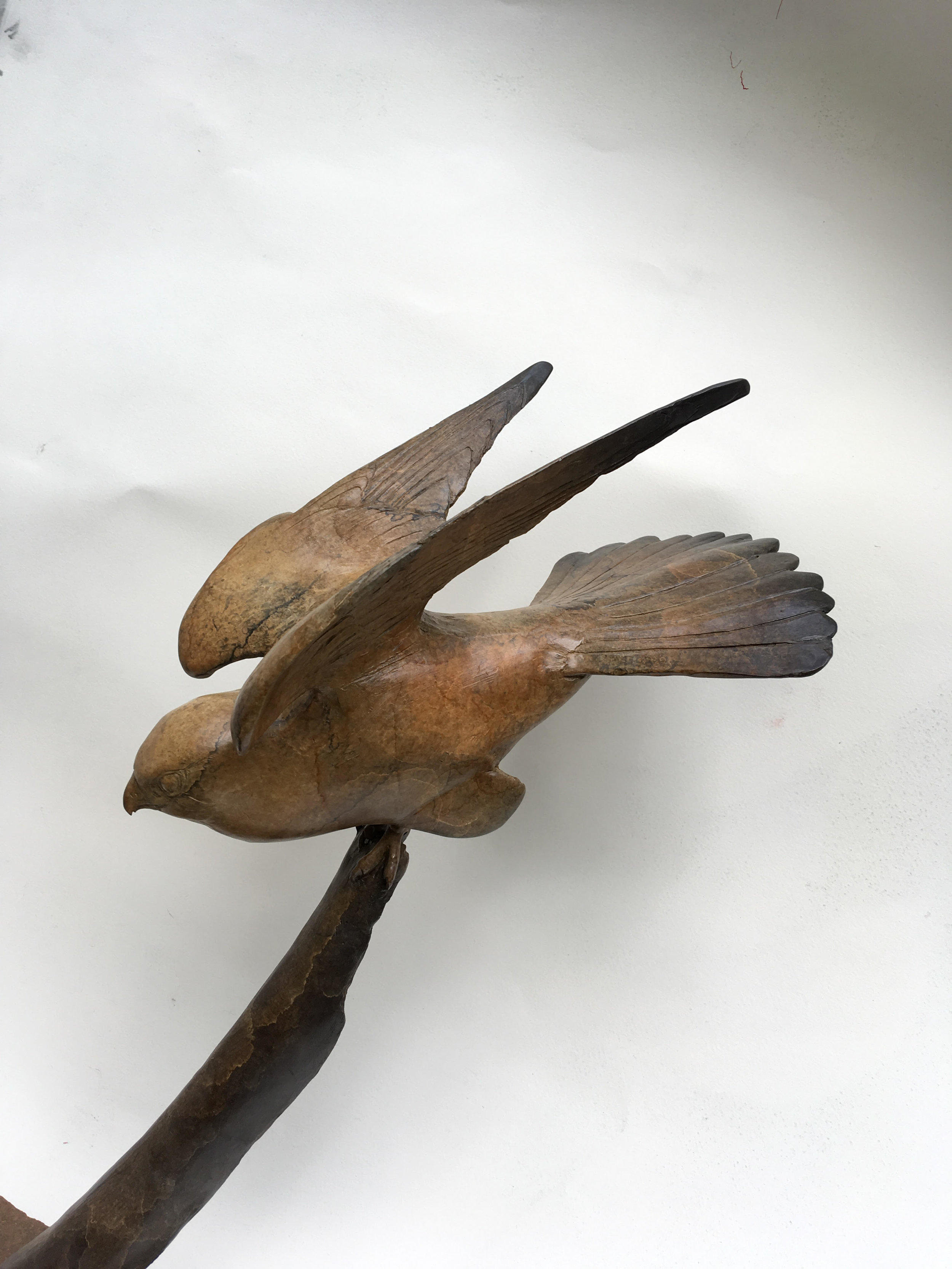 Windhover