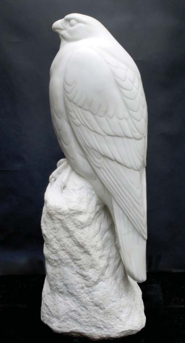 Noble Falcon