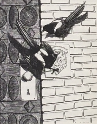 Young magpies learn to ring doorbell for food