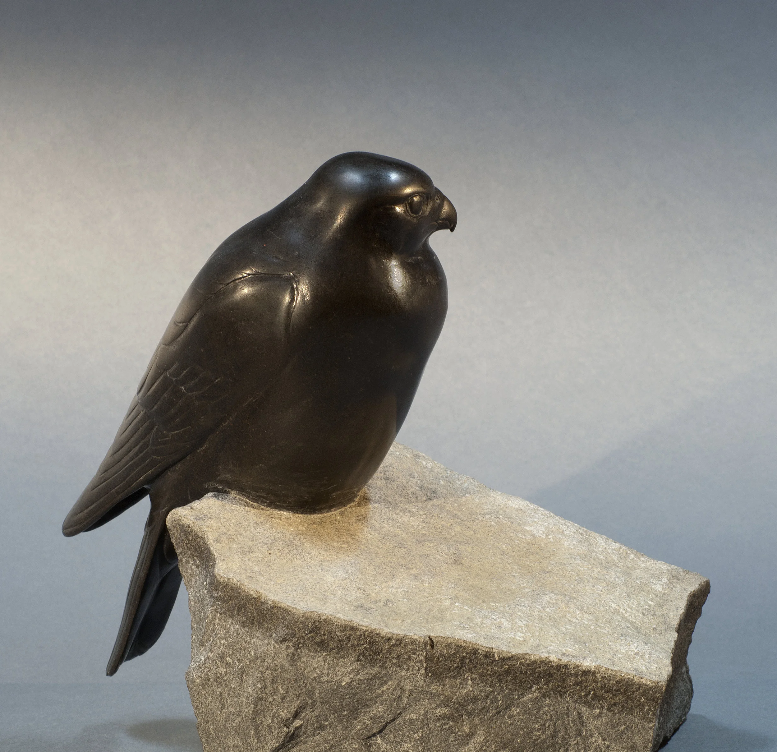 Falcon