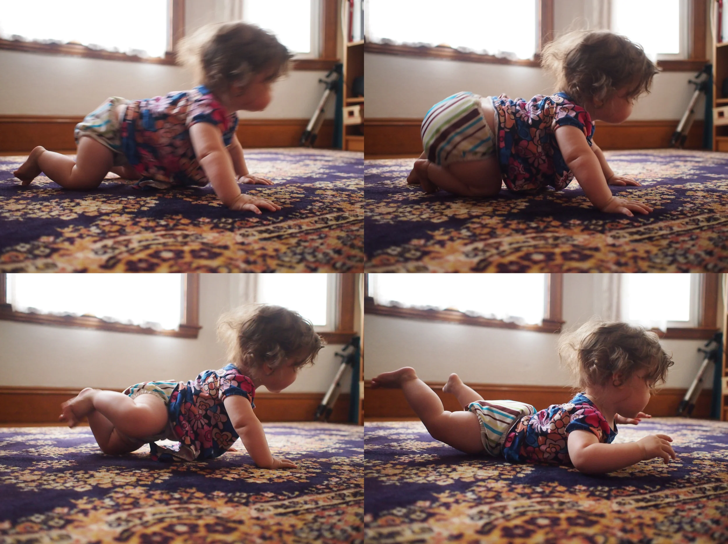 adia crawling-3.jpg