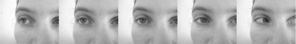 Exploring Movement of the Eyes / Expanding your Horizon — Movement ...