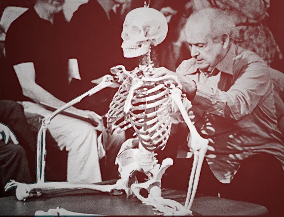 feldenkrais 2.jpg