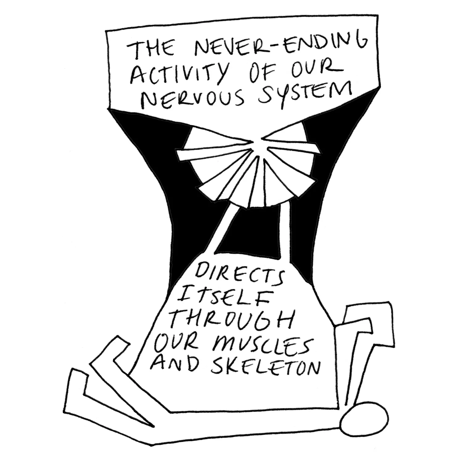 11 the neverending activity of our nervous system - C2 square.jpg