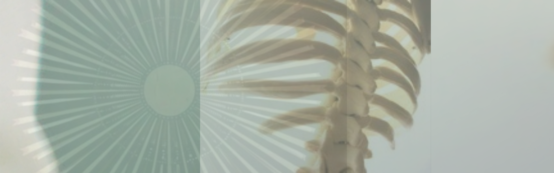 1670011562319-Move_Your_Question_1920__600_px_1.png